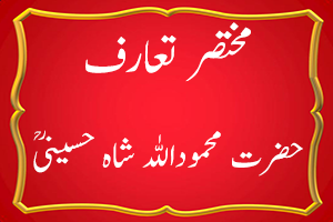 Hazrat Shah Mahmood Ullah Bukhari