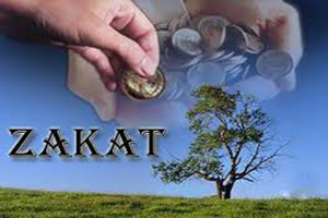 Zakat Kaisey Nikalein