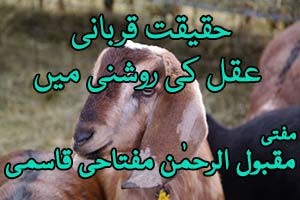 Haqeeqat e Qurbani Aqal Ki Roshni Mein