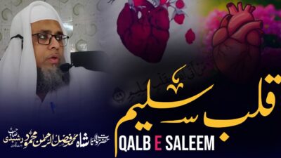 Qalb-e-Saleem – The Sound Heart – bayan by Hazrat Maulana Shah Fazlur Rahman Mahmood Sahab